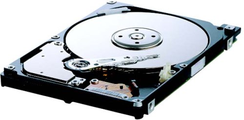 Digitalkameras: Datalux DLX-0825 80 GB interne Festplatte 2.5 Zoll HDD 5400rpm 8MB