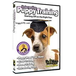 Interactive Puppy Training DVD - Start your Dog off on the Right Paw
