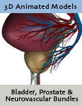 Your Prostate Biopsy is Positive: Here's What You Should Know
