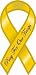 Pray For Our Troops Ribbon Magnet