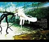 COLLECTION SIMPLE PLUS (限定盤)(DVD付)