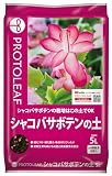 プロトリーフ シャコバサボテンの土 5L