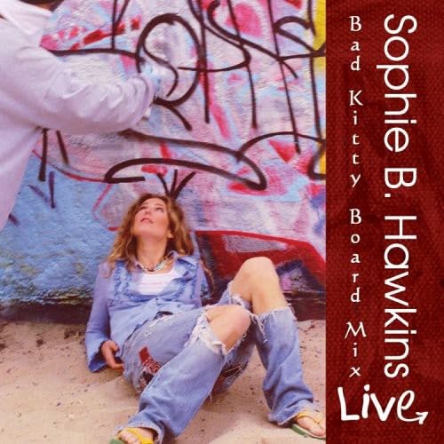 Sophie B Hawkins - Now That