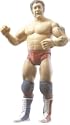 WWE Classic Superstars 10 - Harley Race