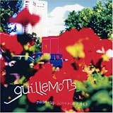 Guillemots
