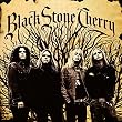 Black Stone Cherry