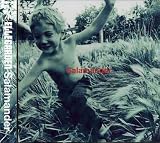 Salamander
