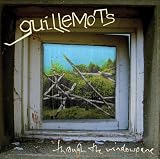 Guillemots