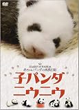 子パンダ ニウニウ