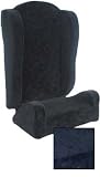 LaRoche Grizzly Bear Booster Car Seat Color: Navy