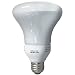 Globe 15-Watt R30 Indoor/Outdoor Compact Fluorescent Flood Reflector Bulb #0737101