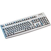 Camcorder: Cherry G83-6105 LUNPL-0 Tastatur USB 105 Tasten MS W95 PL Hellgrau