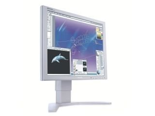 Projektoren: Philips 190P7EG 19 Zoll LCD TFT Monitor (Kontrast 1300:1, Reaktionszeit 8ms) grau