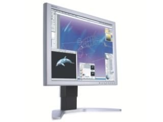 Projektoren: Philips 190P7ES 19 Zoll LCD TFT Monitor silber Pivot (Kontrast 1300:1, Reaktionszeit 8ms) silber
