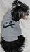 Air Dog T-shirt for Dogs 4-10 lbs