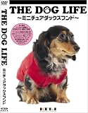 THE DOG LIFE �~�j�`���A�_�b�N�X�t���h