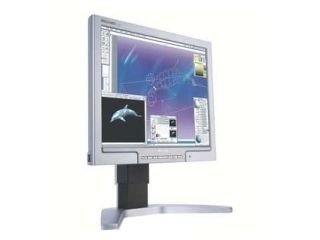 Projektoren: Philips 170P7ES 17 Zoll LCD TFT Monitor (Kontrast 600:1, Reaktionszeit 8ms) silber