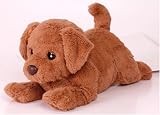 http://ec1.images-amazon.com/images/P/B000GTE9MK.01._SCMZZZZZZZ_V62059188_.jpg