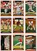 2006 Topps Cincinnati Reds Baseball Cards Complete Team Set (21 cards) Including Ken Griffey Jr and more!