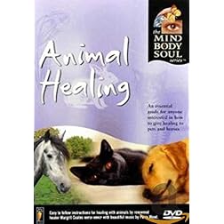 Animal Healing