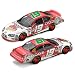 jeremy mayfield #19 dodge