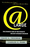 At Large: The Strange Case of the World's Biggest Internet Invasion