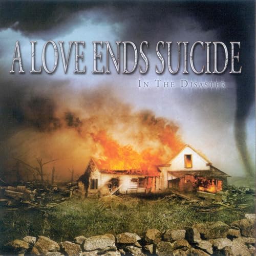 In the Disaster by A Love Ends Suicide album cover