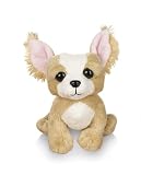 Lil' Kinz Chihuahua