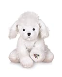White Poodle Lil Kinz