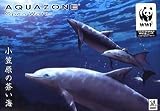 AQUAZONE Open Water 小笠原の蒼い海