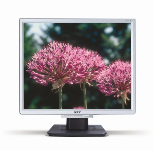 Elektronik und Foto: Acer 19 Zoll TFT Monitor silber/schwarz DVI (Kontrast 700:1, 5 Ms Reaktionszeit)