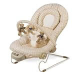 Mother's Touch Comfort Bouncer