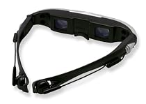 ezVision Video iWear - iPod Video and DVD Movie Sunglasses Goggles/Glasses