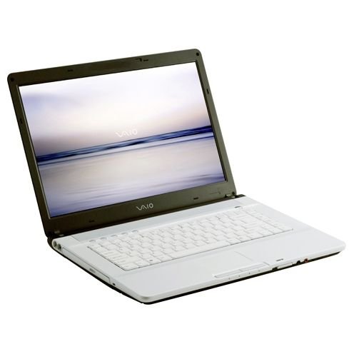 Festplatten: Sony Vaio VGN-FE28B 15,4 Zoll WXGA Notebook (Intel Core Duo T2300 1.66GHz, 1 GB RAM, 100 GB HDD, SuperM.DVD+/-RW DL, GF Go7400 256/64, Windows Media Center Edition 2005)