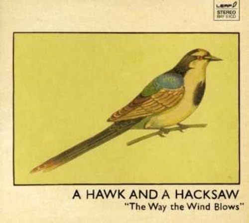 A hawk and a Hacksaw - The way the wind blows - Zortam Music