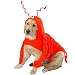 LARGE - LOBSTER PAWS - Dog Halloween Costume