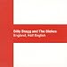 Graphic: England Half English by Billy Bragg