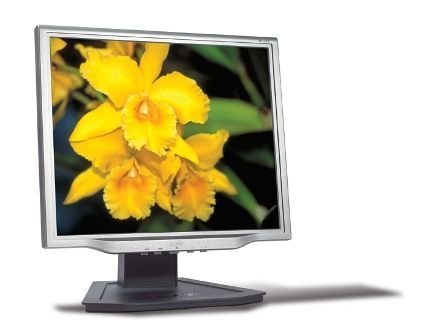 Acer AL1723 17 Zoll TFT-Monitor DVI und Pivot (drehbar) (Kontrast 800:1, 8 ms Reaktionszeit)