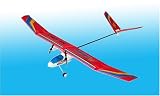 2CH Radio Control Electric RC Airplane Free Bird RTF