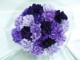 20 Fresh-cut Mixed Purple Carnations (order by Jan 31 for Feb 14 delivery)