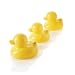Bath Ducks