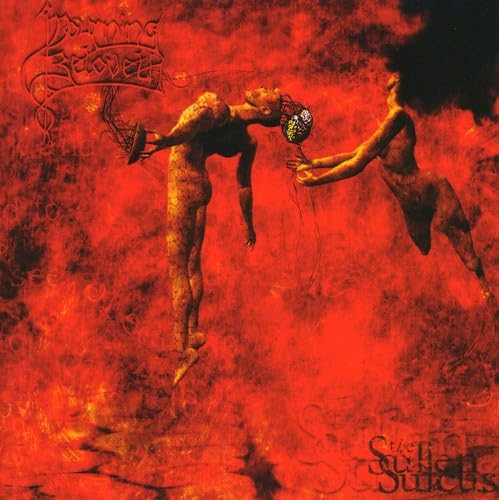 The Sullen Sulcus