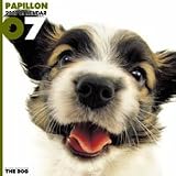 THE DOG ¥Ñ¥Ô¥è¥ó 2007ǯ ¥«¥ì¥ó¥À¡¼