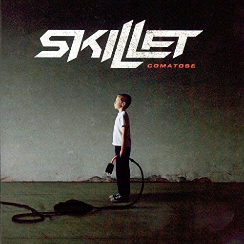Skillet - The Older I Get (Album Version) Lyrics - Zortam Music