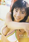�ߥ��ޥ�����2006 �Ҳʥ���