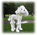   - White Poodle 16