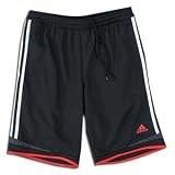 adidas Predator Star Shorts (Black)