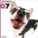   - THE DOG Artlist - 2007 Chihuahua Wall Calendar