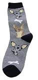 Ay Chihuahuas Socks