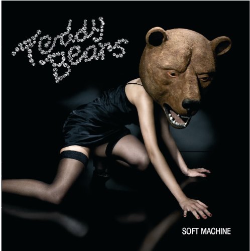 Teddybears - Punkrocker (Feat. Iggy Pop) Lyrics - Zortam Music